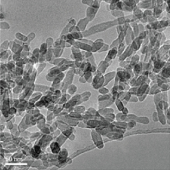 Hydroxyapatite nanoparticles