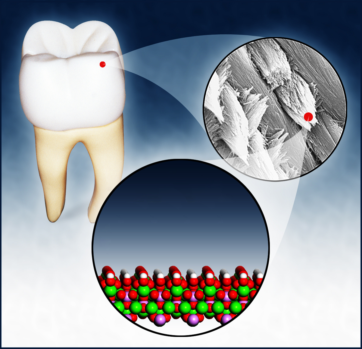 Kristalline Struktur von Hydroxylapatit im Zahnschmelz